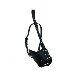 Dog Leash