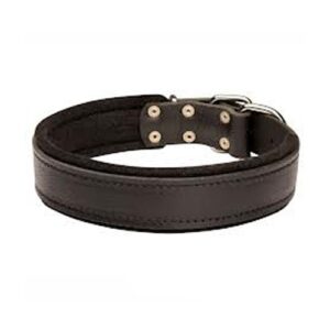 Dog Colars