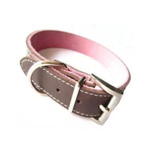 Dog Colars